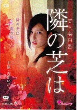 铜镜电影海报封面